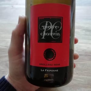 La Friponne - Domaine Pierre Chauvin - Paul-Eric Chauvin 