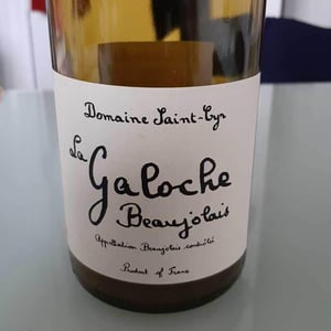 Domaine Saint-Cyr - Raphaël Saint-Cyr - La Galoche Blanche