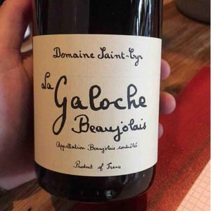 Domaine Saint-Cyr - Raphaël Saint-Cyr - La Galoche Rosé