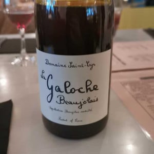 La Galoche Rosé - Domaine Saint-Cyr - raphael-saint-cyr