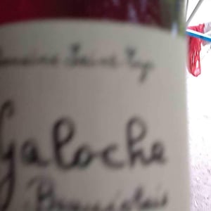 Domaine Saint-Cyr - Raphaël Saint-Cyr - La Galoche Rouge