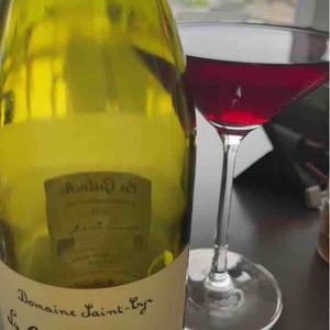 Domaine Saint-Cyr - Raphaël Saint-Cyr - La Galoche Rouge