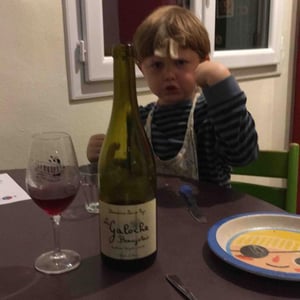 Domaine Saint-Cyr - Raphaël Saint-Cyr - La Galoche Rouge