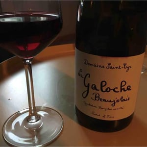 Domaine Saint-Cyr - Raphaël Saint-Cyr - La Galoche Rouge