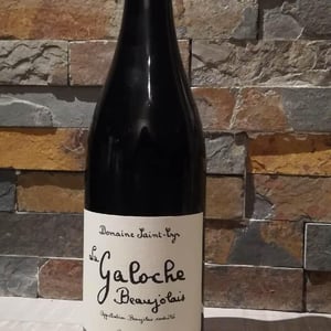 Domaine Saint-Cyr - Raphaël Saint-Cyr - La Galoche Rouge