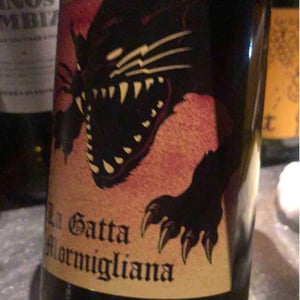La Gatta Mormigliana - Vinos Ambiz - Fabio Bartolomei 
