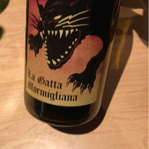 La Gatta Mormigliana - Vinos Ambiz - Fabio Bartolomei 