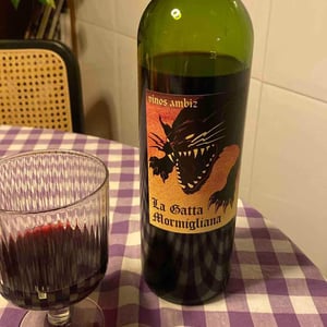 La Gatta Mormigliana - Vinos Ambiz - Fabio Bartolomei 