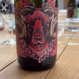 Domaine Muller-Koeberle - David Koeberle - La Geiss