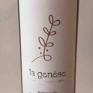 La Genèse - La Vigne des Mille Fleurs - Rémi Jourdy 