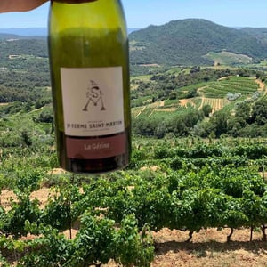 La Ferme Saint-Martin - Les Vins de Thomas - Sophie & Thomas Jullien - La Gerine