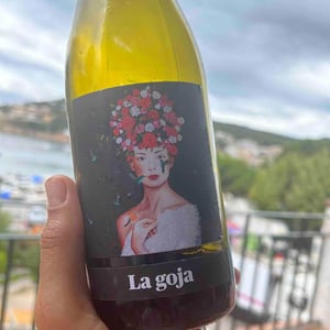 La Goja - Mas Patiràs - carles-xuriguera -2019