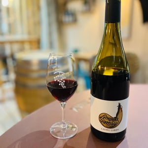 Gourde à gamay - Domaine Laura Lardy - laura-lardy -2020