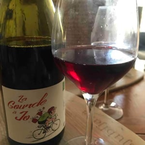 La Gourde De Jo - Domaine Chasselay - Claire & Fabien Chasselay 