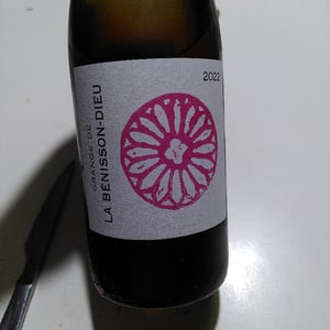Grange de La Bénisson-Dieu Rosé - Domaine de La Bénisson-Dieu - regis-et-aude-reine-anouil -2022