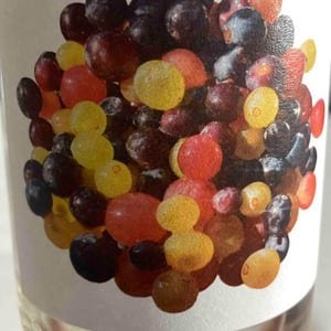 La Granja 2021 - Vinyes Singulars - ignasi-segui -2021