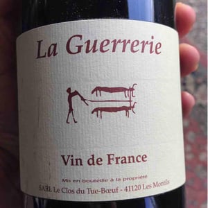 La Guerrerie - Clos du Tue-Bœuf - zoe-louise-thierry-puzelat