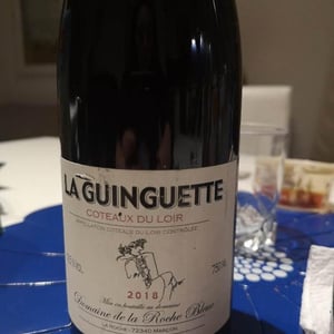 Domaine de la Roche Bleue - Sébastien Cornille - La Guinguette