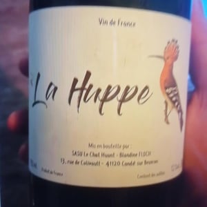 La Huppe - Le Chat Huant - Blandine Floch 