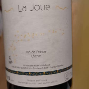 La Joue - Domaine Les Roches Sèches (CLOSED since 2017) - jean-marie-brousset-thibault-ducleux-julien-delrieu-closed-since-2017