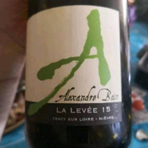 Domaine Alexandre Bain - Alexandre Bain - La Levée