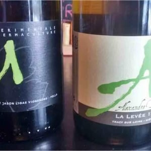 Domaine Alexandre Bain - Alexandre Bain - La Levée