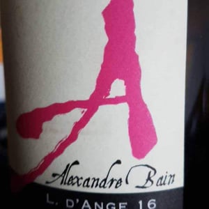 Domaine Alexandre Bain - Alexandre Bain - La Levée