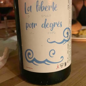 La Liberté Par Degrés - Keiko & jérôme - keiko-araki-et-jerome-deleuze -2018