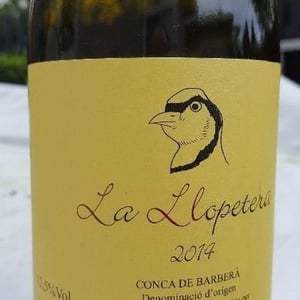 Celler Escoda Sanahuja - Joan Ramón Escoda Martinez - La Llopetera