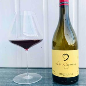 Celler Escoda Sanahuja - Joan Ramón Escoda Martinez - La Llopetera