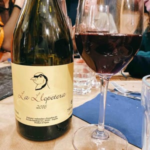 La Llopetera - Celler Escoda Sanahuja - Joan Ramón Escoda Martinez 