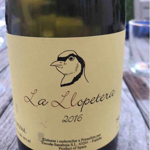 Celler Escoda Sanahuja - Joan Ramón Escoda Martinez - La Llopetera