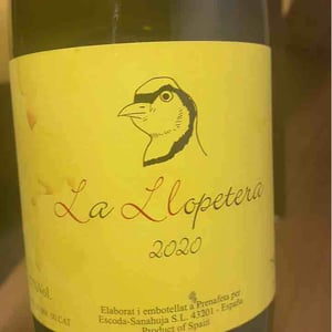 Celler Escoda Sanahuja - Joan Ramón Escoda Martinez - La Llopetera