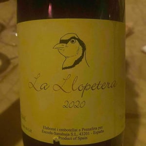 Celler Escoda Sanahuja - Joan Ramón Escoda Martinez - La Llopetera