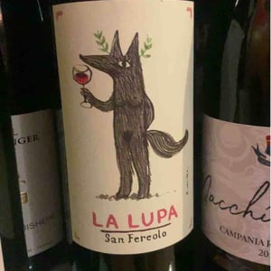 La Lupa Rosato - Azienda Agricola San Fereolo - Nicoletta Bocca