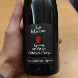 La Madone - Vins de la Madone - Gilles Bonnefoy 