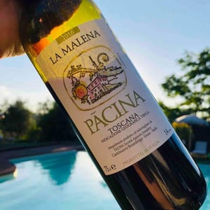 La Malena - Azienda Agricola Pācina - giovanna-tiezzi-stefano-borsa-maria-borsa-carlo-borsa-roberto-maccari-elisa