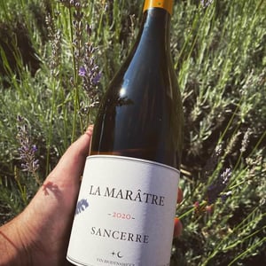 La Marâtre - Domaine Du Nozay - Cyril de Benoist 
