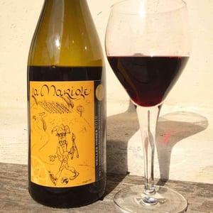 Domaine Ledogar - Xavier, Mathieu & Benoît Ledogar - La Mariole
