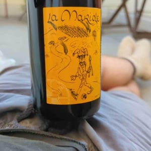 Domaine Ledogar - Xavier, Mathieu & Benoît Ledogar - La Mariole