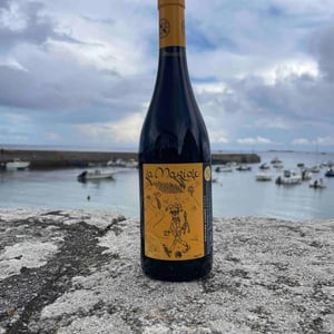 La Mariole - Domaine Ledogar - xavier-mathieu-benoit-ledogar