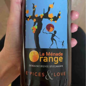 La Ménade Orange - Sylvie Spielmann - sylvie-spielmann