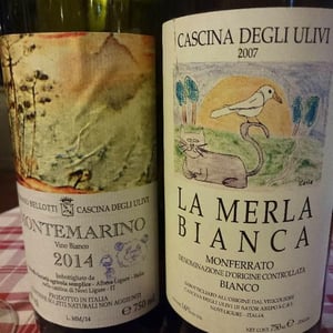 La Merla Bianca 2007