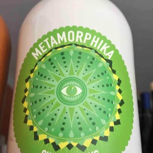 Metamorphika Chenin Blanc - Costador Terroirs Mediterranis - Joan Franquet 