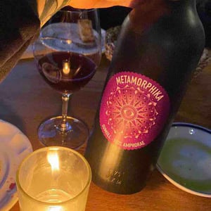 La Metamorphika - Costador Terroirs Mediterranis - Joan Franquet 