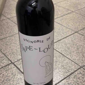 La Meute - Vignoble de Jape-loup - david-theunis