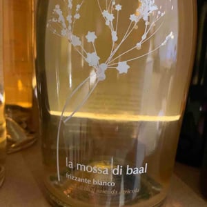La mossa - Casa di Baal - famiglia-salerno