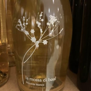 La mossa - Casa di Baal - famiglia-salerno