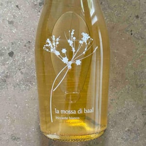 La mossa - Casa di Baal - Famiglia Salerno 