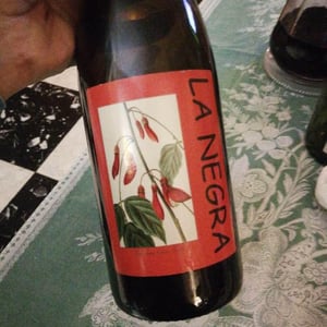 La Negra - Domaine Yoyo - laurence-manya-krief